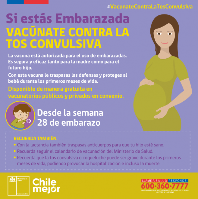 Resultado de imagen para vacunas para embarazadas chile 2019